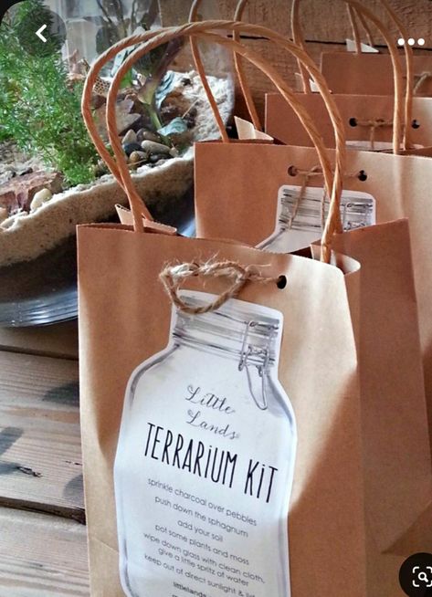 Terrarium Party Ideas, Terrarium Business, Plant Store Ideas, Plant Shop Ideas, Terrarium Party, Gardening Kit Gift, Terrarium Bar, Terraria Party, Terrarium Shop