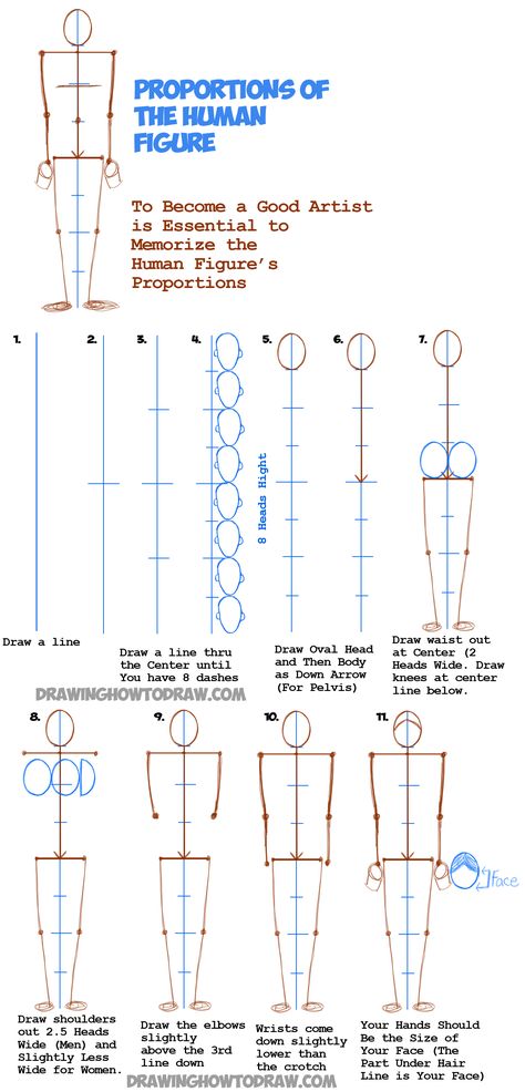 Learn How to Draw Human Figures in Correct Proportions by Memorizing Stick Figures : Drawing People Tutorial Drawing People Tutorial, Stick Figures Drawing, Draw Human Figures, Human Body Proportions, Figures Drawing, How To Draw Human, Drawing Body Proportions, Drawing Proportions, Figure Drawing Tutorial