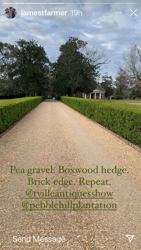 Pea Gravel Circular Driveway, Hedge Lined Driveway, Country Driveway Landscaping, Short Driveway Ideas, Hedge Driveway, Driveway Hedge, Roadside Landscaping, Long Driveway Landscaping, Pea Gravel Driveway