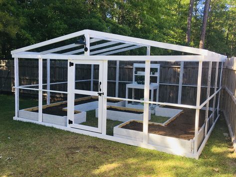 Raised Bed Enclosed Garden, Covered Veggie Garden Ideas, Veggie Garden Cover, Raised Enclosed Garden Beds, Enclosed Vegetable Gardens, Enclosed Gardens Ideas, Enclosed Raised Bed Garden, Enclosed Veggie Garden, Fully Enclosed Vegetable Garden