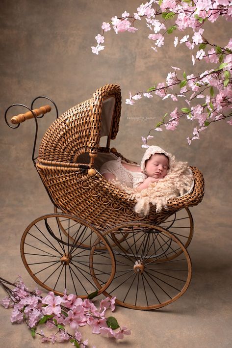 Newborn Photoshoot Backdrop, Whimsical Newborn Photography, Vintage Baby Photoshoot, Vintage Newborn Photography, Newborn Photography Girly, Photography Props Ideas, Vintage Baby Carriage, Vintage Baby Pictures, Squishy Cheeks