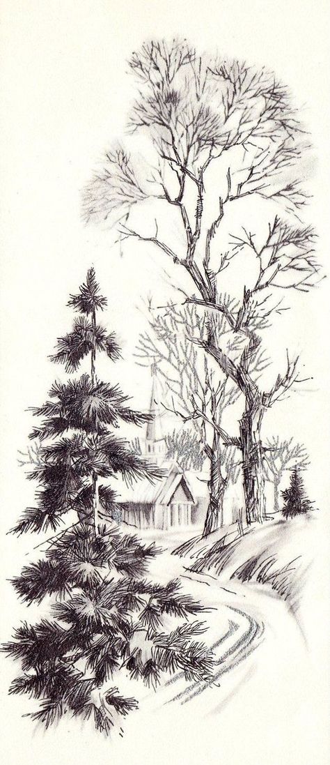 Tre Kunst, Landscape Pencil Drawings, Pencil Trees, Tree Drawings Pencil, Drawing Hands, Nature Sketch, Drawing Hair, Tree Sketches, Landscape Sketch