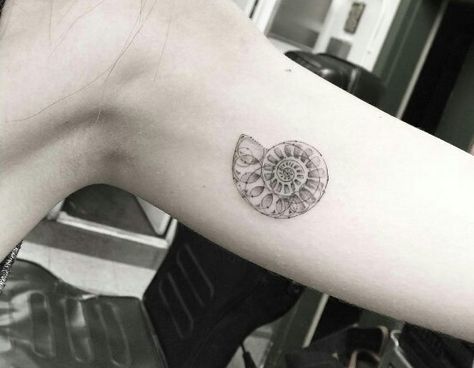 Beautiful ammonite by Doctor Woo Más Woo Tattoo, Discrete Tattoo, Nautilus Tattoo, Girl Tattoo Ideas, Fibonacci Tattoo, Shell Tattoo, Seashell Tattoos, Shell Tattoos, Dr Woo