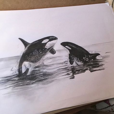 Ocean Animals Drawing Realistic, Orca Sketch, Orca Drawing, Orca Drawing Pencil, Realistic Orca Tattoo, Orca Whale Sketch, Charcoal Artwork, Pencil Shading, Color Pencil Drawing