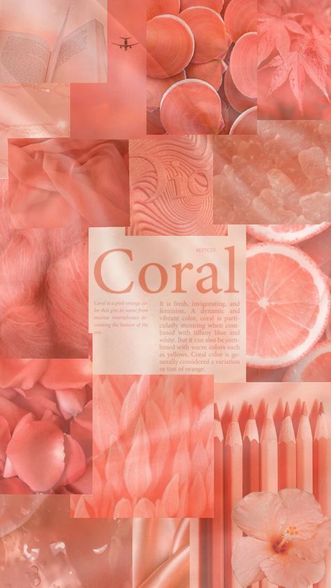 #coral#aesthetic#cute#peach#slay#f4f Soft Coral Aesthetic, Color Peach Aesthetic, Light Coral Aesthetic, Coral Astethic, Coral Color Aesthetic, Aesthetic Pink And Orange, Angie Core, Pastel Color Aesthetic, Gurudwara Wedding