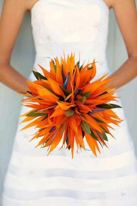 Bird Of Paradise Wedding, Arreglos Ikebana, Unique Wedding Bouquet, Tropical Flower Arrangements, Paradise Wedding, Orange Bouquets, Orange Wedding Flowers, Birds Of Paradise Flower, Bouquet Bride