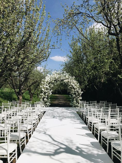 Open Air Wedding Decoration, Wedding Ceremony Stage, Open Air Wedding, Wedding Alters, Engagement Photography Poses, Indoor Wedding Ceremonies, Wedding Hall, Ceremony Arch, Ceremony Flowers