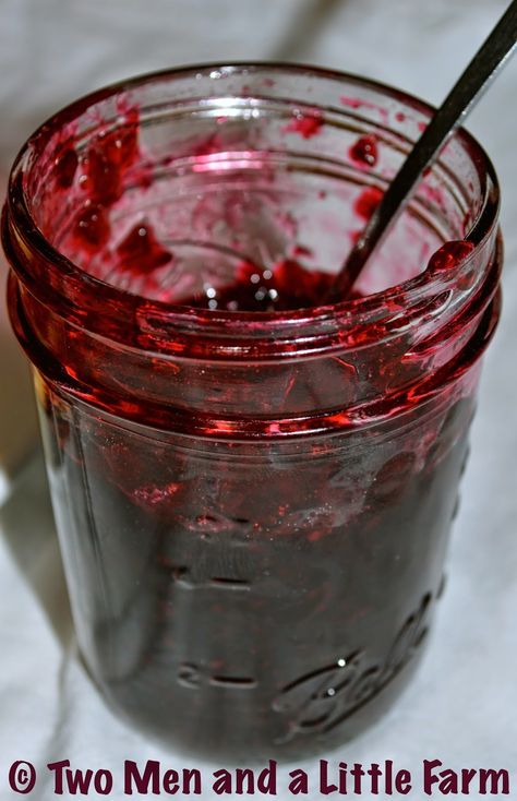 Two Men and a Little Farm: EASY DEWBERRY JAM RECIPE Dewberry Jelly Recipe, Dewberry Jam Recipe, Mulberry Jelly Recipe, Dewberry Recipes, Harvest Storage, Canning 101, Canning Ideas, How To Garden, Berry Recipes