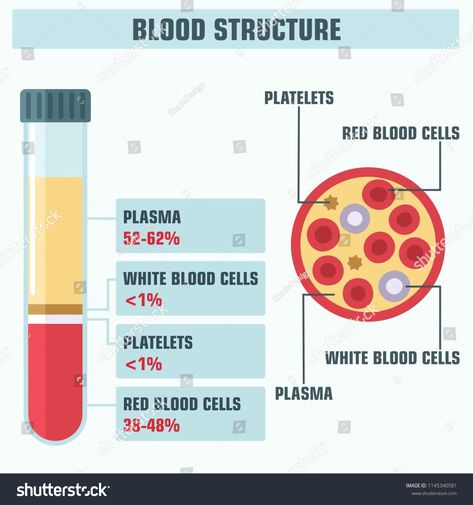 Vector medical science icon structure of blood. Illustration of a blood cell and its components; test tube with blood. #Ad , #spon, #icon#structure#science#Vector Sains Note, Blood Illustration, Science Vector, Medical Assistant Student, Blood Components, Medical Jobs, Science Icons, Nurse Inspiration, Medical Laboratory Science