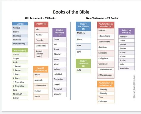 Why Isn't the Bible in Chronological Order? Chronological Order Of The Bible, Old Testament In Chronological Order, Bible Books In Order, New Testament In Chronological Order, Books Of The Bible In Chronological Order, What Order To Read The Bible, Best Order To Read The Bible, Bible Chronological Order, Bible Authors