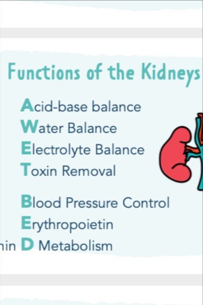 Kidney Nursing Notes, Acute Glomerulonephritis, Renal Nursing, Med Surge, Renal System, Renal Calculi, Nephrotic Syndrome, Acute Kidney Injury, Urinary System