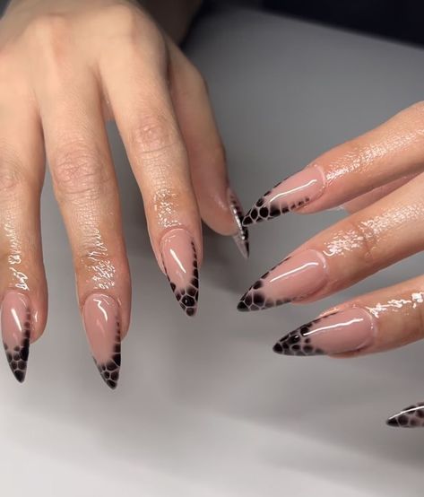 Black Nails Inspo Almond, Black Gel Nails Almond, Almond Black Nails Design, Black Animal Print Nails, Black Trendy Nails, Long Almond Nails Designs, Black Nail Inspo Acrylic, Black Almond Nails Designs, Almond Nails Black