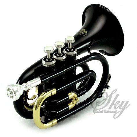 The Sky Band Approved Brass Bb Pocket Trumpet is a great instrument, but is it right for you? Read our detailed review to find out why it might not... Pocket Trumpet, Hand Percussion, Brass Instruments, Trumpet Players, Amazon Top, Fantasy Gifts, Nickel Plating, School Band, Musical Art