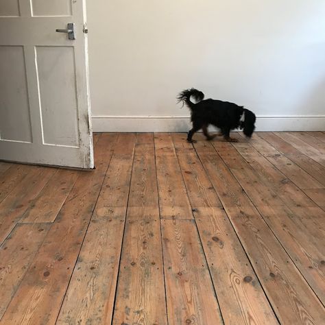 Victorian Floorboard Restoration with Osmo Oil Polyx Raw - Kezzabeth | DIY & Renovation Blog Dark Pine Floors, Floorboard Restoration, Osmo Oil, Walnut Floors, Brown Floors, Truth Be Told, Victorian Cottage, Small Tins, Pine Floors