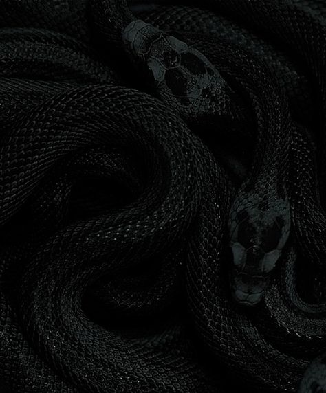 Dark Snake Aesthetic, Snakes Aesthetic, Snake Aesthetic, Gucci Soho Disco Crossbody, Phone Themes, Snakes, Dark Aesthetic, Cute Wallpapers, Nature Photography