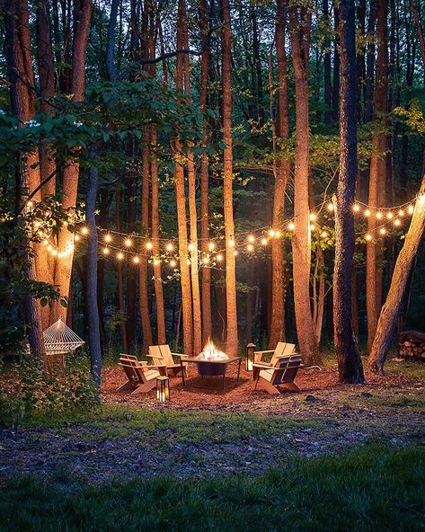 Woods Backyard Ideas, Forest Backyard, Wooded Backyard Landscape, Forest Landscaping, Forest Yard, Indoor Fire Pit, Outdoor String Lights Patio, Backyard Gardens, Adirondack Chairs Patio