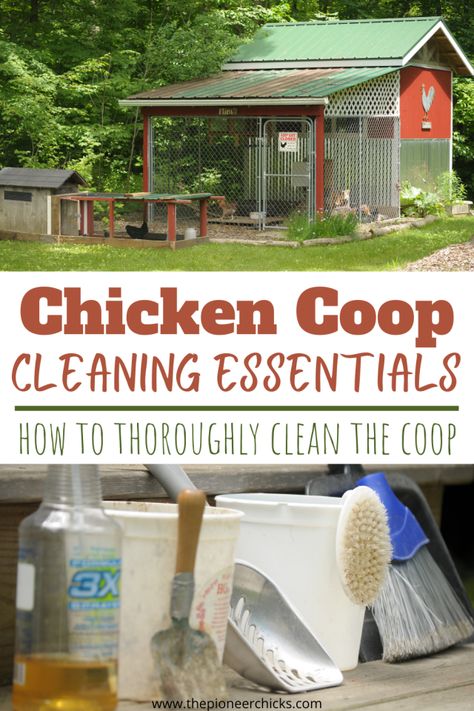 Easy To Clean Small Chicken Coop, Chicken Coop Scoop, Paint Chicken Coop Wire Black, Cleaning A Chicken Coop, Daily Chicken Routine, Chicken Coop Organization Ideas, Chicken Coop Toys Ideas, Chicken Coop Garden Combo, Cleaning Chicken Coop