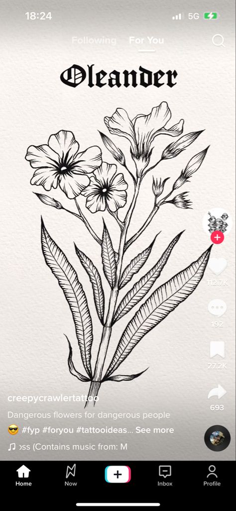 Poison Flowers Drawing, Poisonous Flower Tattoo, Poisonous Plants Tattoo, Poison Plant Tattoo, Poison Flowers Tattoo, White Oleander Tattoo, Oleander Flower Tattoo, Poisonous Plant Tattoo, Deadly Flower Tattoo