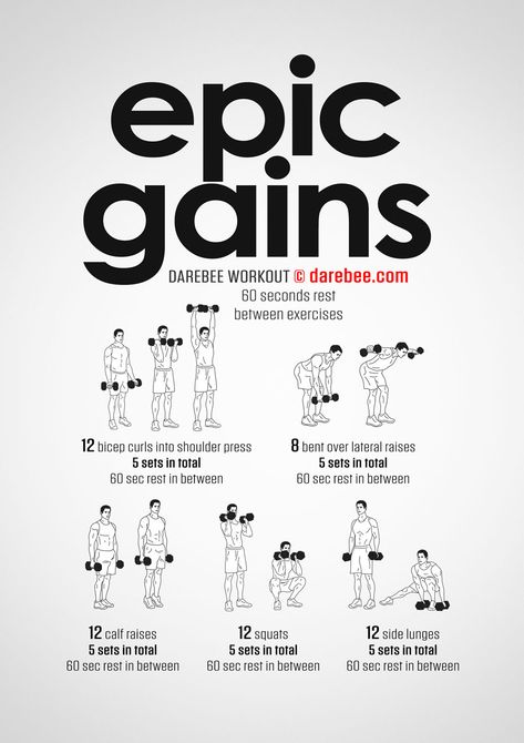 Epic Gains Workout Darbee Workout, Dumbbell Workout Plan, Mobility Training, Physical Wellbeing, Workout Program Gym, Warrior Workout, Dumbell Workout, Gym Workout Chart, Workout Routine For Men