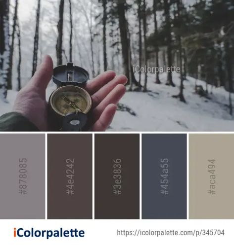 2007 Winter Color Palette ideas in 2024 | iColorpalette Color Palette Ideas, Winter Color Palette, Palette Ideas, Palette Inspiration, Winter Images, Tree Images, Winter Color, Winter Trees, Winter Colors