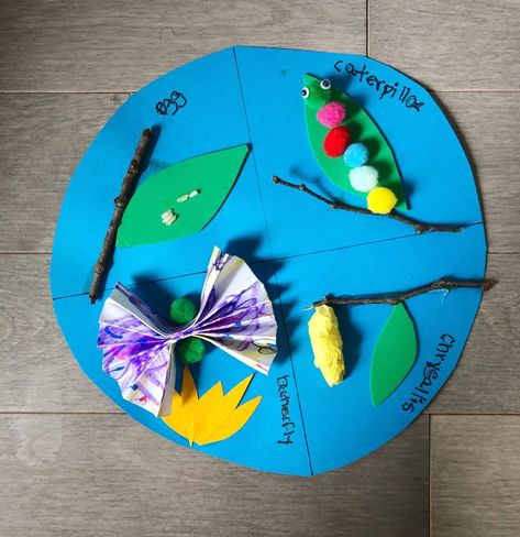 3d Life Cycle Of A Butterfly Craft, Butterfly Migration Activity, Butterfly Life Cycle Preschool, Life Cycle Of A Butterfly Kindergarten, Diy Life Cycle Of A Butterfly, Migration Activities, Homeschool Unit Studies, Butterfly Life Cycle Craft, Life Cycles Preschool