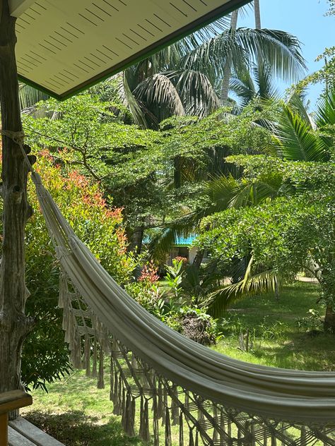 Hammock, porch, hotel, airbnb, thailand, jungle, tropical, plants, relax, zen, spiritual, healing, breathwork, nature, palmtrees, cute, trees Avatar Clan, Tropical Hammock, Hammock Porch, Sociology Project, Thailand Jungle, Summer Feed, Jungle Tropical, Sociology, Spiritual Healing