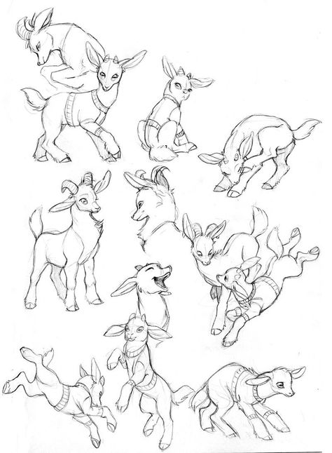 Goat Anatomy Drawing, Goat Drawing Sketch, Goat Illustration Cute, Goat Art Illustration, Goats Drawing, Cute Goat Drawing, Cute Goat Art, Goat Anatomy, Goat Drawings