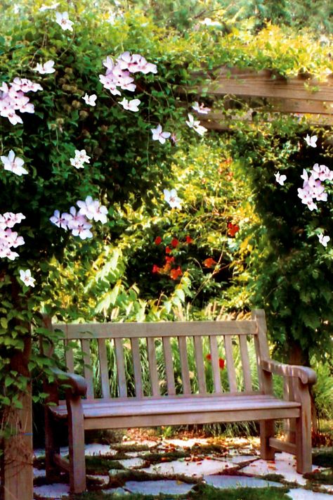 Garden Bench Garden Bench Landscaping, Sketching Images, Garden With Bench, Bench In Garden, Flower Pot Tower, Yard Layout, Small Shop Ideas, Back Garden Landscaping, Arbour Seat