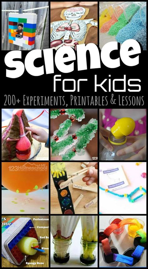 Kindergarten Science Activities, 123 Homeschool 4 Me, Pre-k Science, Science Experiments For Kids, Experiments For Kids, Kid Experiments, Easy Science Experiments, Kindergarten Science, Easy Science