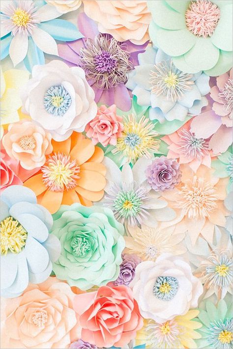 Paper Flower Backdrop Pastel Colors, Colorful Flowers, The Wall, Paper Flowers, Pastel, Flowers, Wall