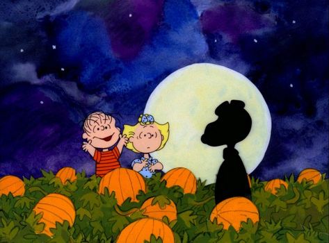 Pumpkin Snoopy, Linus Van Pelt, The Great Pumpkin Charlie Brown, It's The Great Pumpkin Charlie Brown, Charlie Brown Thanksgiving, Great Pumpkin Charlie Brown, Sally Brown, Pumpkin Wallpaper, It's The Great Pumpkin