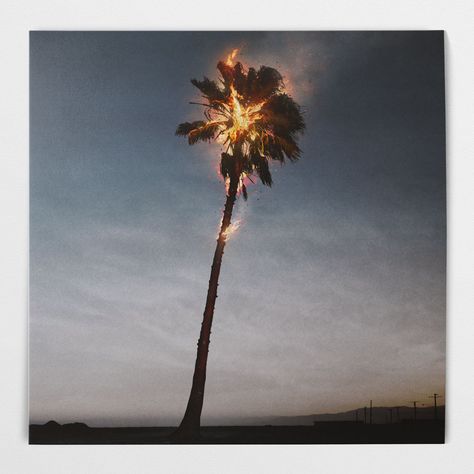 Mh Tattoo, Tropical Poster, Playlist Covers Photos, Song Covers, Live On Air, Palm Trees Beach, Beach Night, Strange Places, Playlist Covers