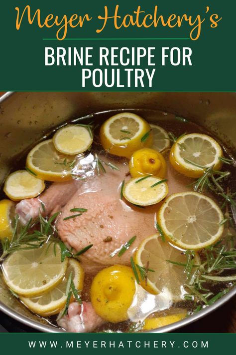 Flavor Boosting Poultry Brine Recipe by Meyer Hatchery Poultry Brine, Brine Chicken, Brine Recipe, Simple Food, Whole Chicken, Meat Chickens, Inspired Recipes, Cooking With Kids, Chicken Soup