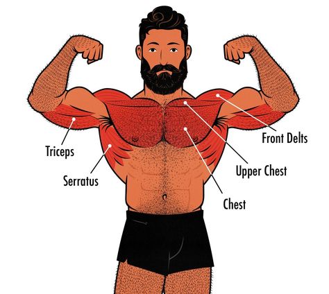 How to Do Dips (And Why They're So Good) Chest Dips, How To Do Dips, Dips Workout, 4 Day Workout, Chest Exercise, 5 Day Workouts, Leg Routine, Push Day, Incline Bench