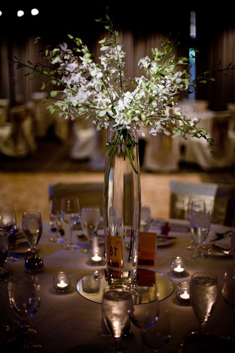 Wedding Reception Centerpiece, White Centerpieces, Dresses Photography, White Centerpiece, Wedding Photo Gallery, Wedding Reception Centerpieces, Circle Mirror, Table Set Up, Wedding Table Centerpieces