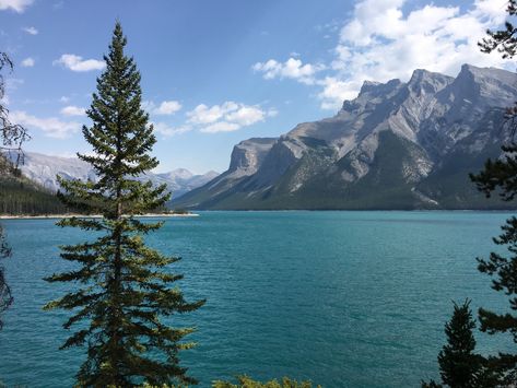 Visiting Lake Minnewanka in Banff National Park | Ambition Earth Lake Minnewanka Banff, Minnewanka Lake, Canadian Lakes, Canada Photography, Elopement Ideas, Banff National Park, Beautiful Lakes, Beautiful Landscapes, Daily Dose