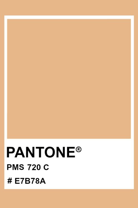 PANTONE 720 C #pantone #color #PMS #hex Spring Pantone, Painting Corner, Pantone Matching System, Pantone Color Chart, Color Knowledge, Lockscreen Ios, Pantone Colour Palettes, Material Board, Colour Trends