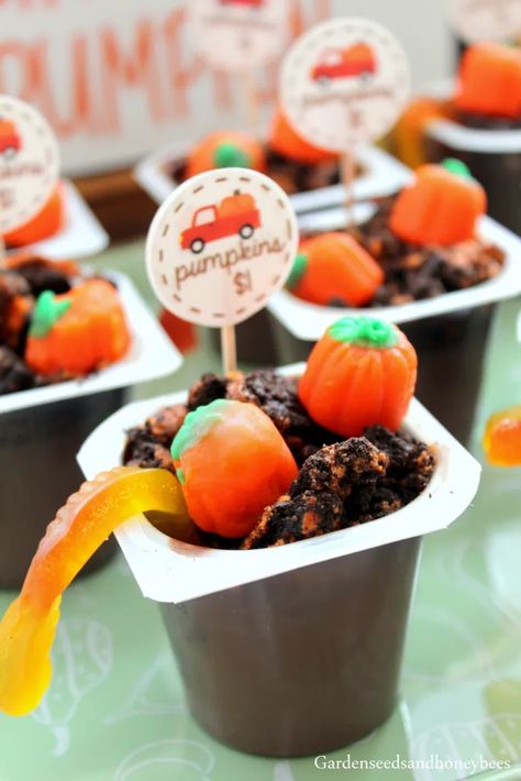 Pumpkin Patch Pudding Cups - Garden Seeds and Honey Bees Pumpkin Dirt Cups, Pumpkin Patch Dirt Cups, Chocolate Pudding Cups, Halloween Oreos, Dirt Cups, Pumpkin Cups, Pudding Cups, Gummy Worms, Education Activities