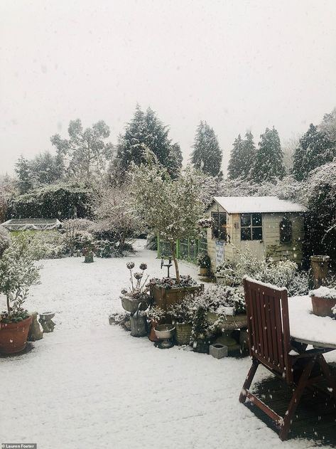 Lauren Foster was greeted with a snowy garden in Amersham, Buckinghamshire, yesterday during the Great White Out Amersham Buckinghamshire, Snow Garden Aesthetic, Winter Garden Snow, Greenhouse In Winter Snow, Snowy Garden, Snow In Summer Plant, Snow In Summer Flower, Deep Freeze, Beautiful Scenes