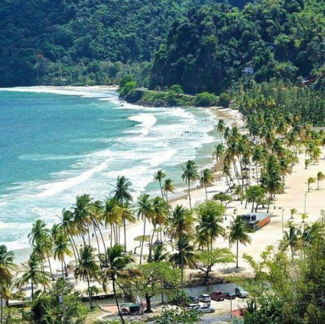 Maracas beach Trinidad Trinidad Beaches, Trinidad Tobago, Port Of Spain, Island Destinations, Exotic Places, Caribbean Travel, Santa Lucia, West Indies, Caribbean Islands