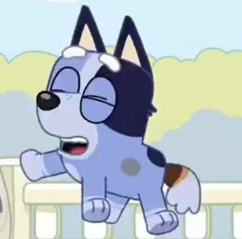 Socks from bluey jumping in the air Cartoon Dog, A Cartoon, Socks