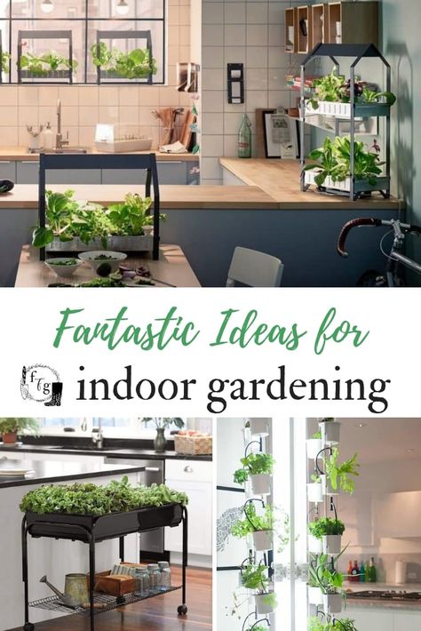 Indoor Gardening Ideas to Grow Food Inside | Family Food Garden Garden Apartment Ideas, Herbs Garden Indoor, Grow Food Inside, Decor Business Ideas, Home Decor Business Ideas, Indoor Gardening Ideas, Indoor Hydroponic Gardening, Indoor Herb Garden Diy, Indoor Garden Apartment