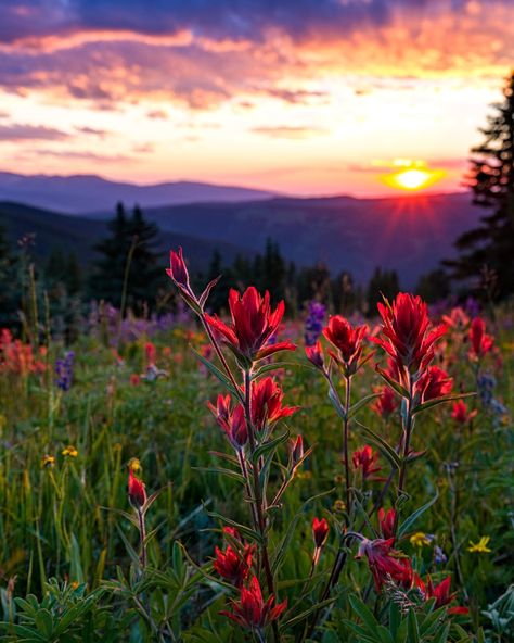 When the Colorado Rockies put on a show >> Good Saturday Morning, Colorado Aesthetic, Colorado Trip, Colorado Photography, Good Saturday, Copper Mountain, Insta Photos, Summit County, Fashion Vibes