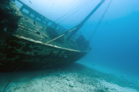 Ship Wrecks, Poseidon Tattoo, Underwater Images, Bay Boats, Bottom Of The Ocean, Underwater Art, Wooden Ship, Chesapeake Bay, Baltic Sea