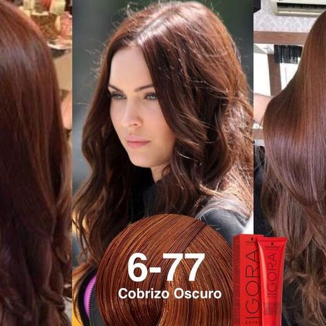 Hair Color Asian, Brown Hair Looks, Ginger Hair Color, Hair Color Chart, Hair Color Auburn, Hairstyles For Layered Hair, Natural Curls Hairstyles, Auburn Hair, Hair Color And Cut