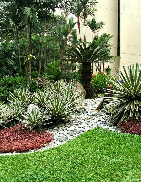 Front Yard Landscape, Yard Makeover, Tropical Landscape Design, Pebble Garden, Florida Landscaping, Palm Garden, Tropical Garden Design, Small Front Yard Landscaping, Yard Landscape