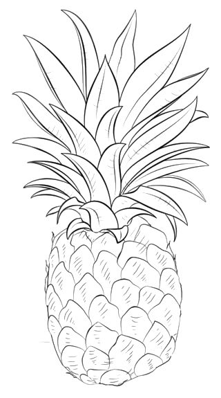 Pineapple Drawing, Easy Pencil Drawings, Fruit Drawing, Drawing Dragon, Fruits Drawing, Cute Pineapple, Drawing Tutorials For Kids, Coloring Pages To Print, Sketches Easy