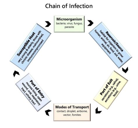 Chain of Infection Chain Of Infection Poster, Chain Of Infection, Poster Drawing Ideas, Hazard Analysis, Worker Safety, Body Fluid, Poster Drawing, Workplace Safety, Mode Of Transport