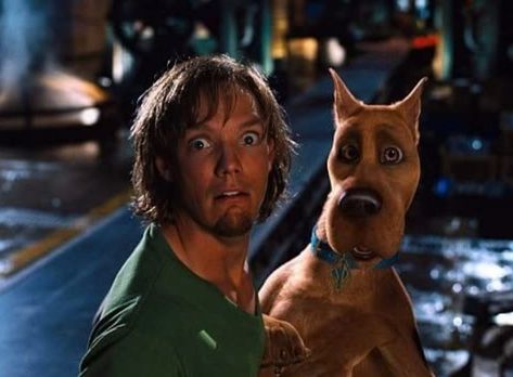 Matthew Lilard, Shaggy And Velma, Shaggy Scooby Doo, Scooby Gang, Scooby Doo Pictures, Matthew Lillard, Scooby Doo Movie, Shaggy Rogers, Shaggy And Scooby