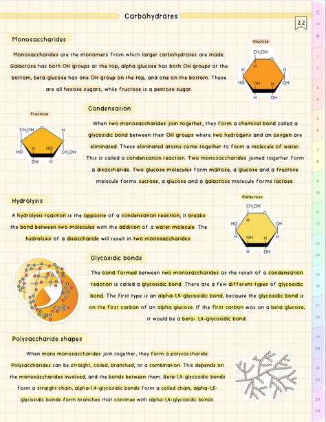 cute aesthetic biology notes Carbohydrates Notes, Aesthetic Biology Notes, Carbohydrates Biology, Microbiology Aesthetic, Aesthetic Biology, Bio Notes, Chemical Bond, Study Tips For Students, Aesthetic School